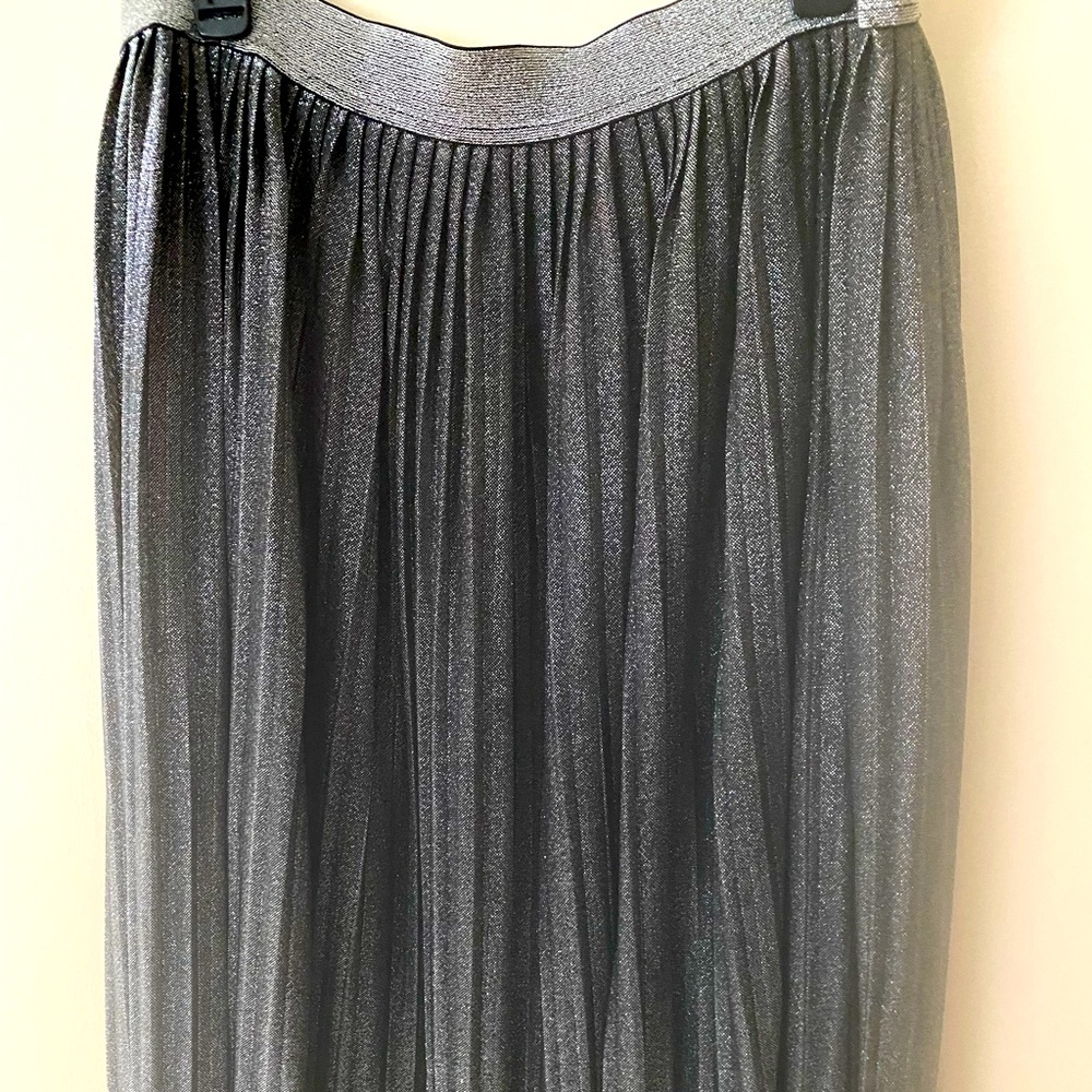 Lord and Taylor shimmer pleated skirt never worn.